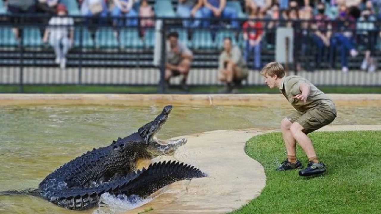 El hijo de Steve Irwin casi pierde la vida por un gigantesco cocodrilo |  Weekend