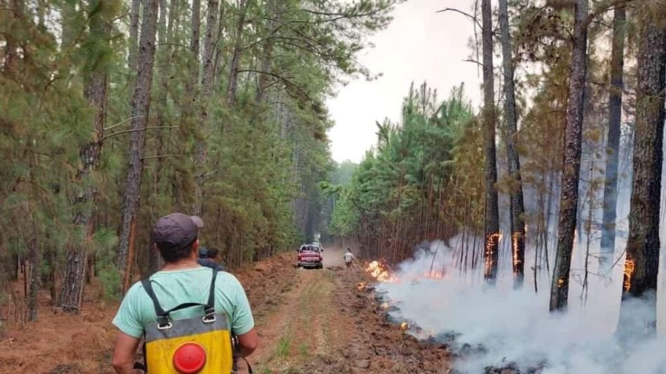 Los incendios en Corrientes continúan
