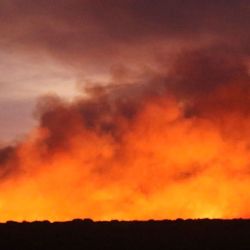 La superficie quemada ya alcanza el 6% de la provincia.