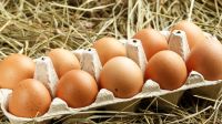 Se disparó el precio del huevo, que en los próximos días volverá a sufrir otro aumento