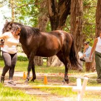 Grupo Santalá: Coaching Profesional