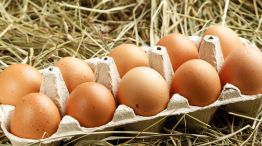 Se disparó el precio del huevo, que en los próximos días volverá a sufrir otro aumento