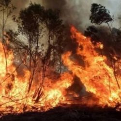 El fuego ya amenaza al Parque Nacional Iberá.