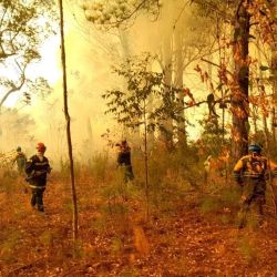 En los alrededores del Parque Iberá ya se quemaron 1.400 hectáreas de una reserva privada.