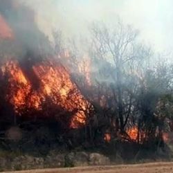 Los incendios ya arrasaron con más de 500.000 hectáreas en Corrientes.