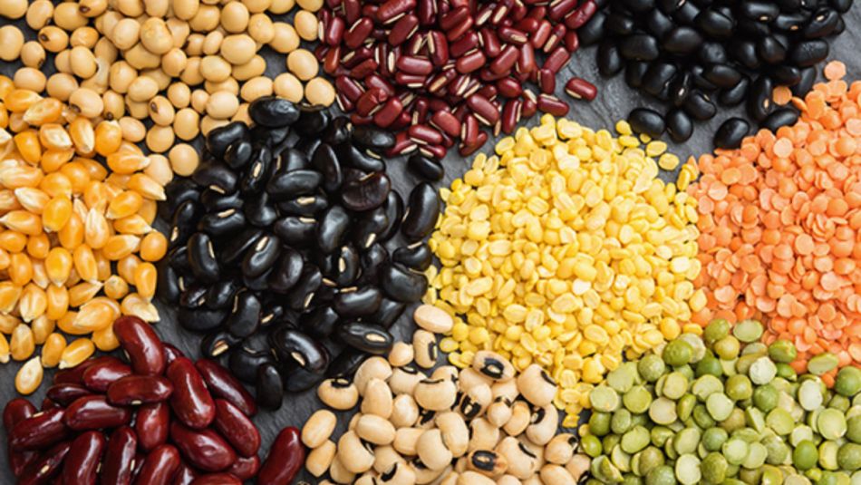 Cuáles son los beneficios de las legumbres y porqué son claves para la alimentación