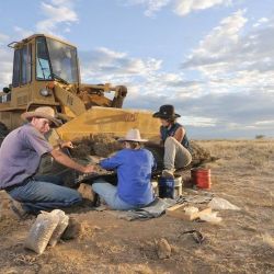 El hallazgo tuvo lugar en una antigua formación rocosa geológica de Queensland, Australia.