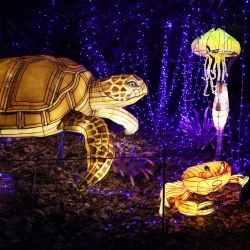Imagen de esculturas iluminadas expuestas durante un festival de luces en el zoológico de Thoiry, cerca de París, Francia. | Foto:Xinhua/Gao Jing