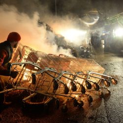 Los agricultores queman heno frente a un supermercado Auchan durante una manifestación convocada por los sindicatos de agricultores por las disputas de precios de sus productos en Le Mans, oeste de Francia. | Foto:JEAN-FRANCOIS MONIER / AFP