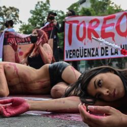 Activistas antitaurinos se manifiestan frente a una pancarta en la que se lee "Tauromaquia, vergüenza de la humanidad", frente a la plaza de toros  de México. | Foto:PEDRO PARDO / AFP