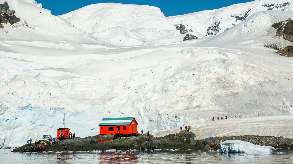 Todos los detalles de cómo es ir de viaje a la Antártida Perfil