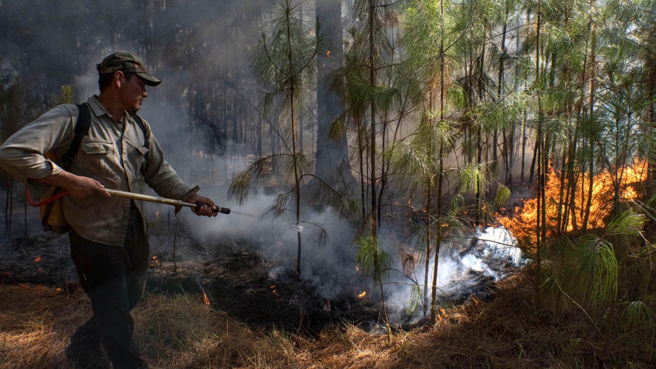 Los incendios rurales y la sequía extrema en Corrientes ya causaron pérdidas por más de 26.000 millones de pesos en el sistema productivo de la provincia, y el Gobierno nacional define un conjunto de medidas de ayuda para los productores. | Foto:Télam/Mateos Pepe