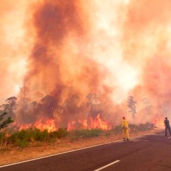 Corrientes permanece en estado de emergencia por más de una decena de focos activos de incendios, que afectan principalmente al norte provincial, por lo cual la Nación reforzó su paquete de medidas de mitigación con la gestión de ayuda internacional.. | Foto:Télam/Ministerio Ambiente
