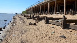 La alentadora suba se produjo en tan solo siete días.