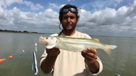 Por estos días, con el calor en descenso en el centro bonaerense, el pique varía, pero la calidad está asegurada.