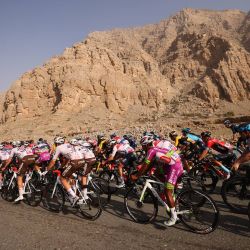 El pelotón circula durante la cuarta etapa de la vuelta ciclista a los Emiratos Árabes Unidos, desde el Fuerte de Fujairah hasta Jebel Jais. | Foto:GIUSEPPE CACACE / AFP
