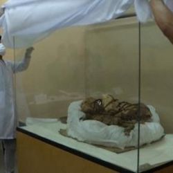 Los restos óseos de la mayoría de las momias podrían ser los hijos, esposa y sirvientes más cercanos a la momia de Cajamarquilla.