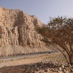 El pelotón rueda durante la cuarta etapa de la vuelta ciclista a los Emiratos Árabes Unidos, desde el Fuerte de Fujairah hasta Jebel Jais. | Foto:GIUSEPPE CACACE / AFP