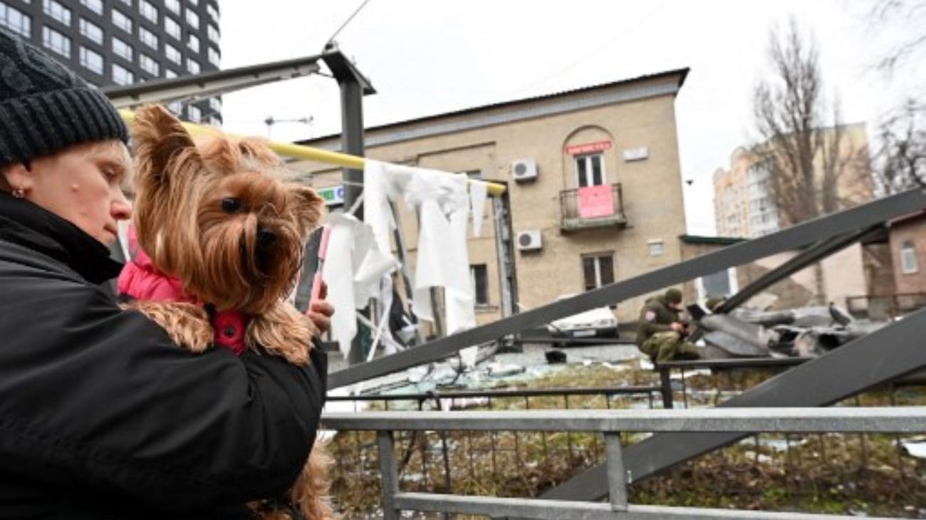 Los dueños buscan llevarse a sus perros y gatos de Ucrania.