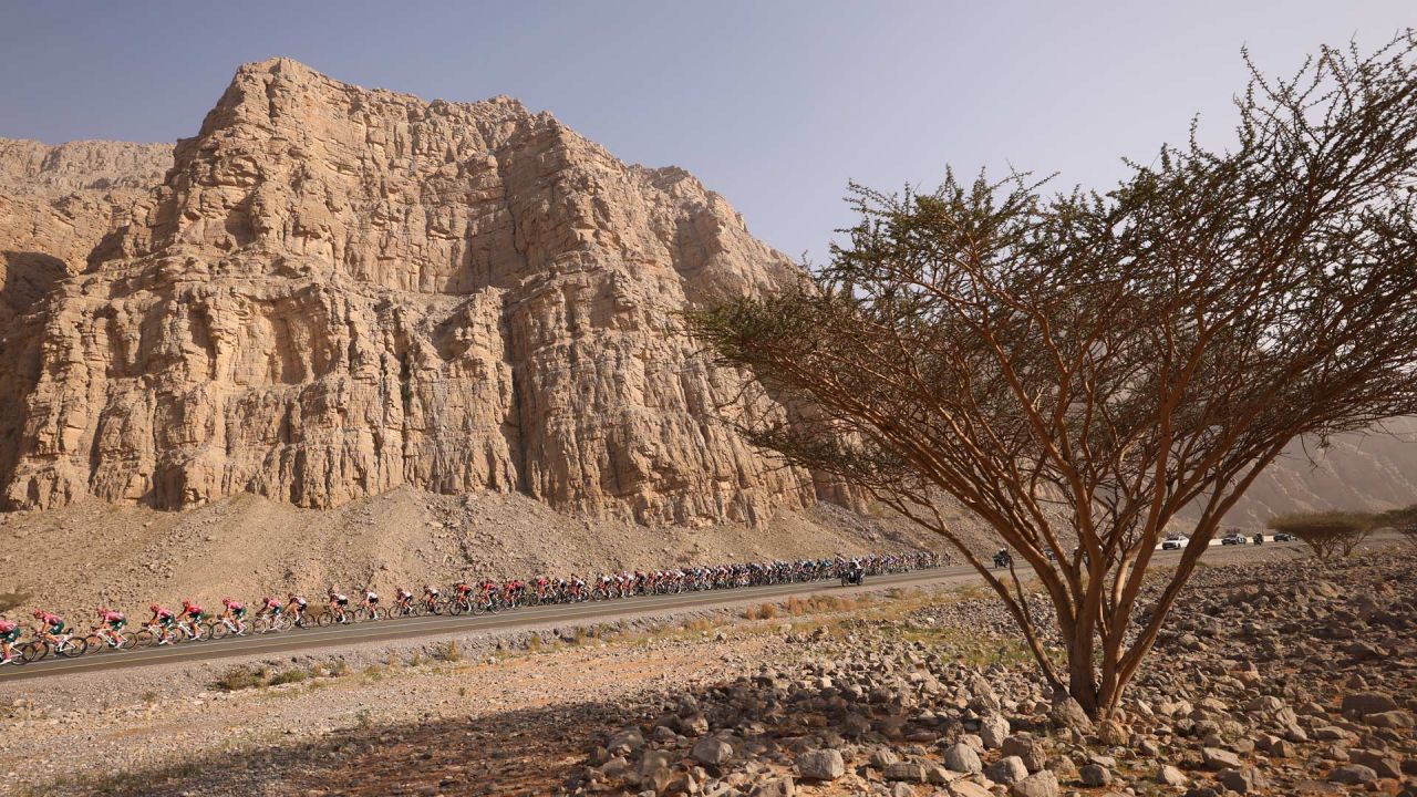 El pelotón rueda durante la cuarta etapa de la vuelta ciclista a los Emiratos Árabes Unidos, desde el Fuerte de Fujairah hasta Jebel Jais. | Foto:GIUSEPPE CACACE / AFP