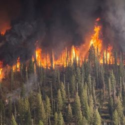 Los incendios forestales siguen arrasando hectáreas y contaminando al mundo.