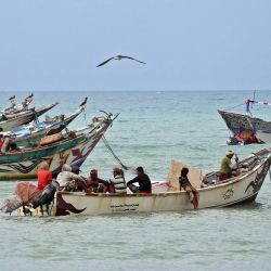 Pescadores yemeníes traen sus capturas de la costa del Mar Rojo en el distrito de Khokha de la provincia occidental de Hodeida, Yemen. | Foto:KHALED ZIAD / AFP
