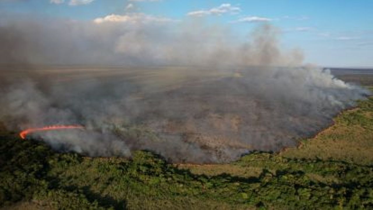 Incendios en Corrientes | Foto:cedoc