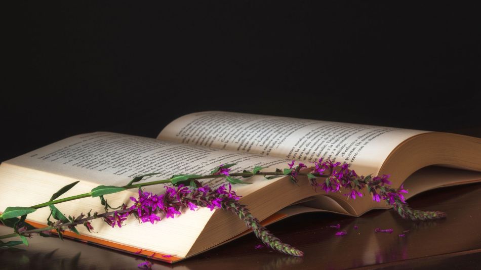 Lectura