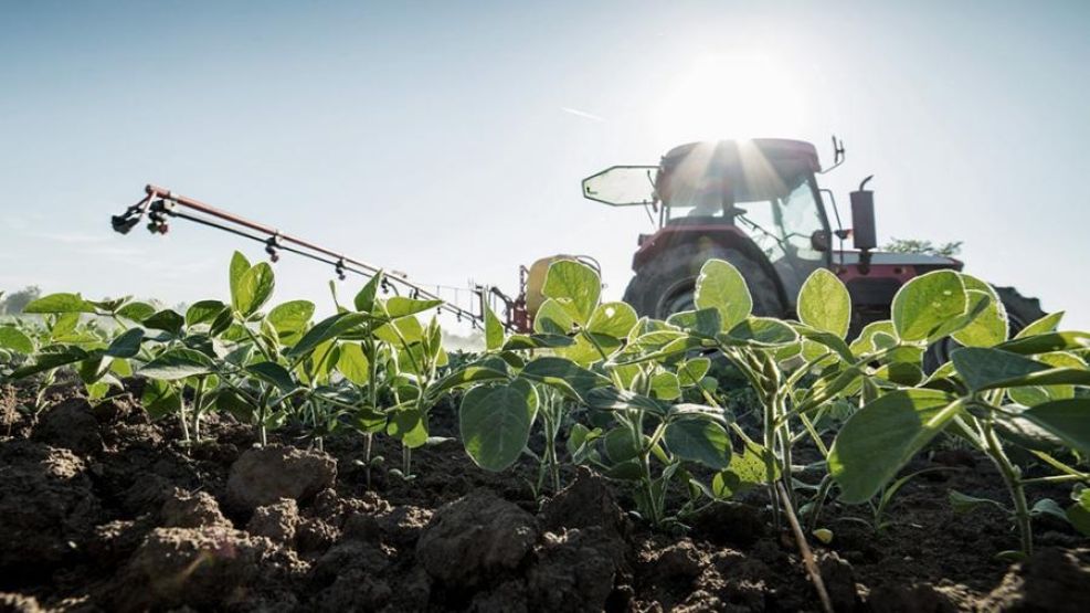Agro: se espera la producción más baja de soja en 14 años