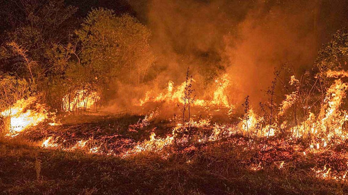 Según la ONU los incendios forestales se incrementarán un 30 para 2050 Perfil