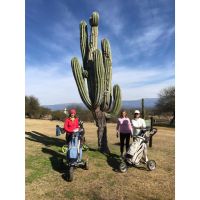 GOLF&MORE