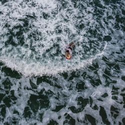 Un surfista es visto en el agua de Cocoa Beach, Florida. | Foto:CHANDAN KHANNA / AFP