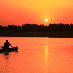 Unos hombres reman en una canoa en el río Tigris de Irak, en la ciudad sureña de Nasiriyah, en la provincia de Dhi Qar, al atardecer. | Foto:Asaad Niazi / AFP