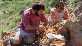 Esta especie vivió sobre el fin de la era de dinosaurios.