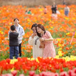 Imagen de personas observando las flores floreciendo en el tiempo de primavera, en Suining, en el suroeste de China. | Foto:Xinhua/Liu Changsong