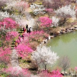 Vista aérea de personas disfrutando del tiempo de primavera en el Lago Slender Oeste, en Yangzhou, en la provincia de Jiangsu, en el este de China. | Foto:Xinhua/Meng Delong