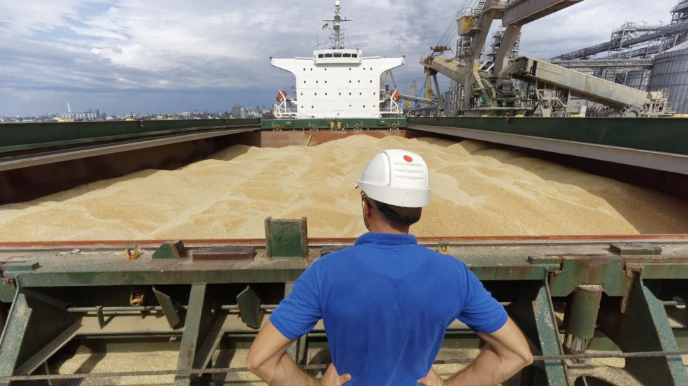 Grain Storage And Export At Bunge Ltd.'s Nikolaev Port