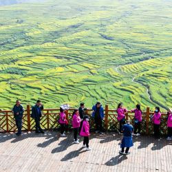 Imagen de turistas observando el paisaje de flores de colza en Panzhou, en el suroeste de China. En el proceso de consolidación de los logros de alivio de la pobreza y promoción de la revitalización rural, Guizhou ha guiado activamente a los agricultores a cambiar los métodos de cultivo y desarrollar una industria agrícola adecuada en las zonas montañosas. | Foto:Xinhua/Yang Wenbin