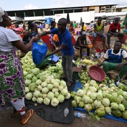 Las verduras se ordenan y se venden en el mercado de Adjame. - Para combatir el elevado coste del mercado, el gobierno marfileño ha decidido limitar los precios de algunos productos de consumo durante tres meses. | Foto:Issouf Sanogo / AFP