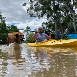 Una mujer navega en kayak con su perro para desplazarse por su barrio inundado en el suburbio de Windsor, en Sidney, Australia. | Foto:Muhammad Farooq / AFP