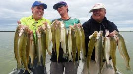 Realmente era un placer ver los pejerreyes debajo de la línea para luego tomar lenta pero firme nuestra carnada.