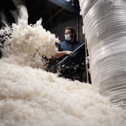 Un empleado llena bolsas con plumas en la fábrica de Interplume, en Saint-Hermine, al oeste de Francia. - Interplume recoge plumas de pato de la industria alimentaria y las prepara para ser utilizadas por las industrias de edredones y textiles.  | Foto:LOIC VENANCE / AFP