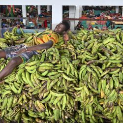 Un hombre descansa sobre un montón de plátanos en el mercado de Adjame en Abiyán, Costa de Marfil. | Foto:Issouf Sanogo / AFP