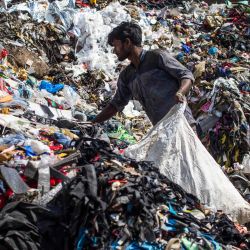 Un trapero busca materiales reciclables en un vertedero del casco antiguo de Nueva Delhi, India. | Foto:XAVIER GALIANA / AFP