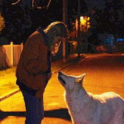 Las noches son de los monstruos | Foto:cedoc