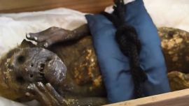 Fue encontrada en un caja en el interior del Templo Templo Enjuin, en la ciudad de Asakuchi.