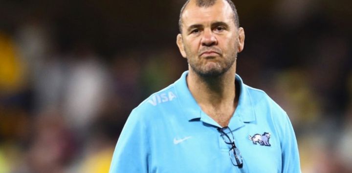 Cheika named as new Argentina coach ahead of World Cup | Buenos Aires Times
