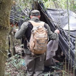 Los siete campamentos brasileros estaban instalados en distintos puntos de la Biosfera Yabotí.