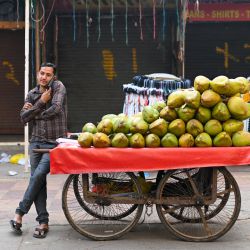 Un vendedor de cocos habla por su móvil mientras espera a los clientes en un mercado de Nueva Delhi, India. | Foto:Sajjad Hussain / AFP