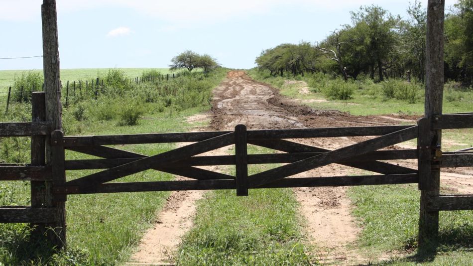 Asesinaron a dos hombres dentro de un campo en Pergamino. 20220315